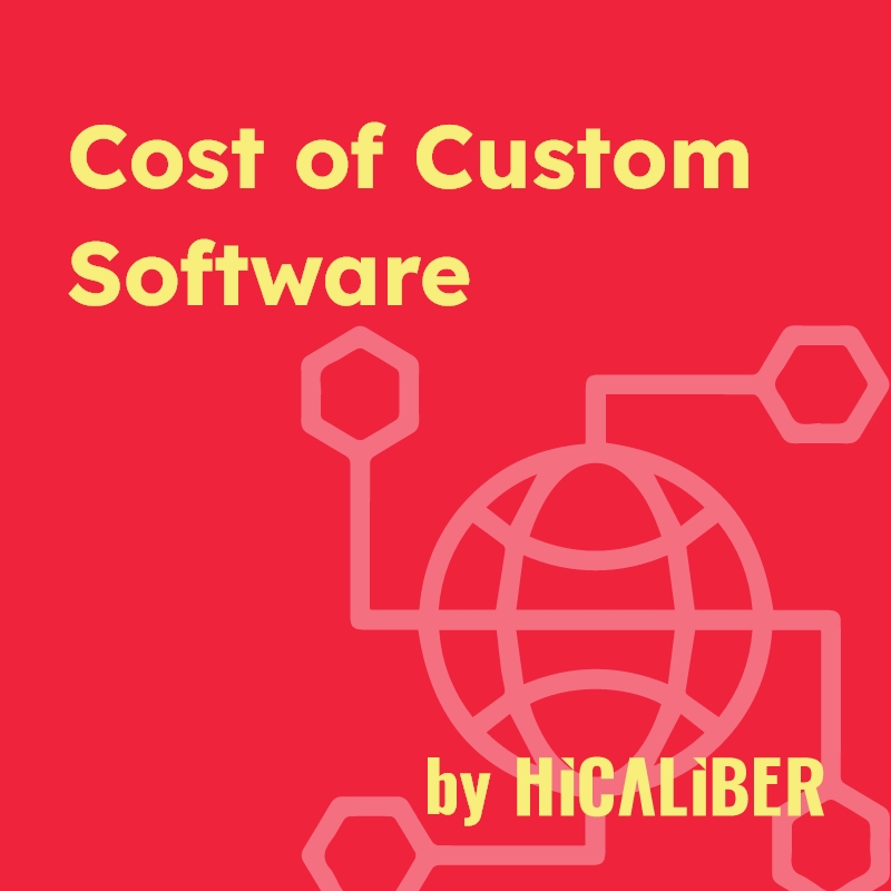 Costs of Custom Software Hicaliber